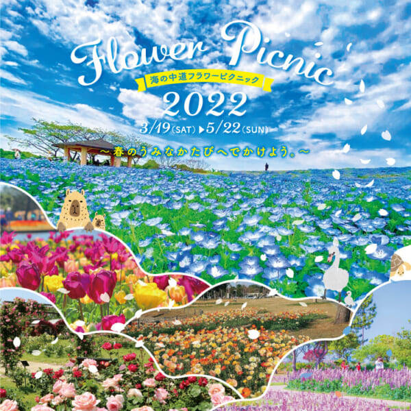 海の中道フラワーピクニック2022